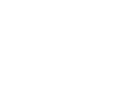 Icon business white